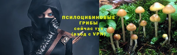 а пвп мука Липки