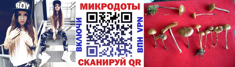 Галлюциногенные грибы мухоморы  Кызыл 